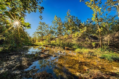 12695 Farm To Market Road 2843, Salado, TX 76571 - photo 2