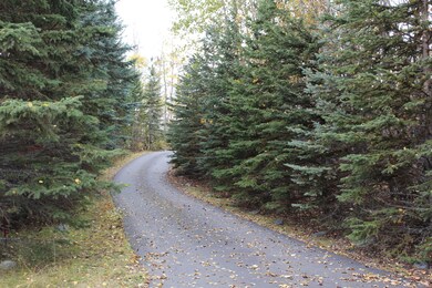 701 N Shadowood Cir, Wasilla, AK 99654 - photo 4