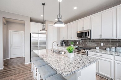 17060 E 95th Ave, Commerce City, CO 80022 - photo 6