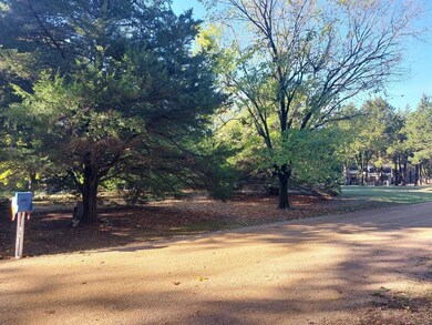 TBD Mano Ln, Sadler, TX 76264 - photo 7