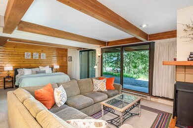 11 Hunter Hill Rd unit 305, Crested Butte, CO 81225 - photo 6