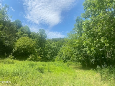 638 Old Highway 143, Roan Mountain, TN 37687 - photo 7