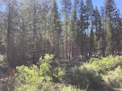 53620 Woodchuck Dr, La Pine, OR 97739 - photo 7