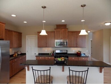 827 Egret Ln, Waconia, MN 55387 - photo 5