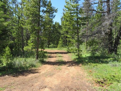 Slvr Queen Quartz Hill Rd, Wise River, MT 59762 - photo 6