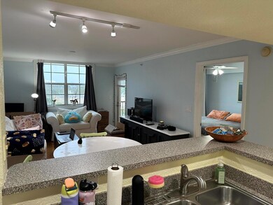 Flagler Pointe unit 538, West Palm Beach, FL 33407 - photo 3