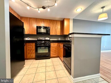 The Crescent unit 311, Silver Spring, MD 20910 - photo 2
