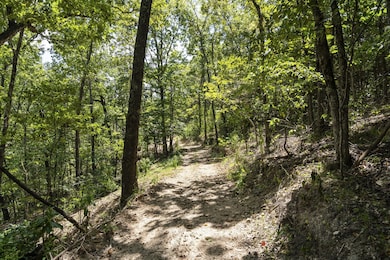 Tbd State Highway Y, Galena, MO 65656 - photo 5