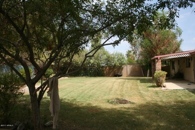 Huge Yard with Much Potential