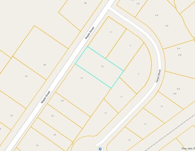 GIS view