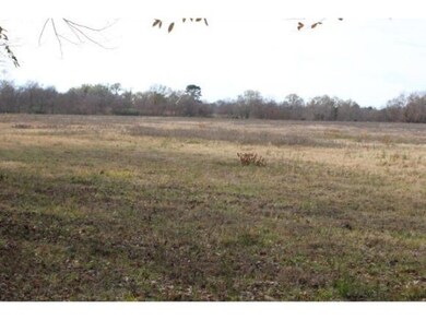 TBD County Road 122, Nacogdoches, TX 75965 - photo 4