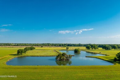 700 Blk Whitmore Rd, Scott, LA 70583 - photo 6