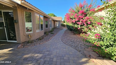 side yard 3