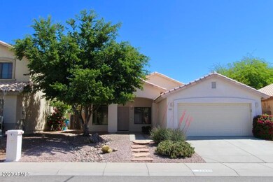 [Van Dyke Group Az]