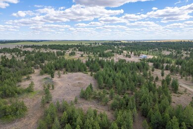 Lot 5 Prairie Ln N, Creston, WA 99117 - photo 7