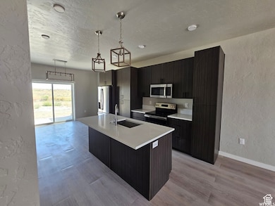 Kitchen with appliances with stainless steel finishes, light wood-type flooring, a kitchen island with sink, sink, and hanging light fixtures