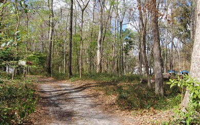 LOT 8 Santa fe Dr, Fort White, FL 32038 - photo 4