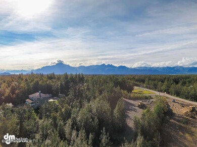 6501 E Legacy Ct, Palmer, AK 99645 - photo 6