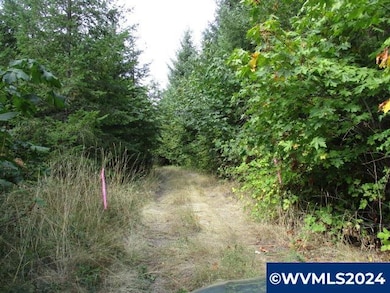 00 Bellinger Scale (2) Rd, Lebanon, OR 97355 - photo 7