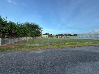lote 3 Calle La Comarca, Hatillo, PR 00659 - photo 2