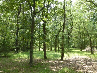 10103 Seneca Trail, Magnolia, TX 77354 - photo 3