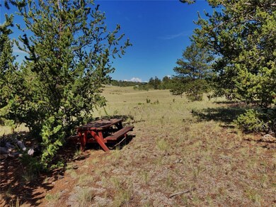 1369 Remington Rd, Como, CO 80432 - photo 6