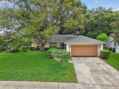 3602 Player Dr, New Port Richey, FL 34655 - photo 2