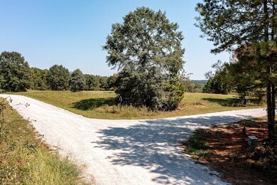 181 Riversong Rd unit 55, Carrollton, GA 30117 - photo 5