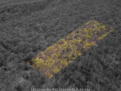 TBD Shotgun Spring Rd, New Market, VA 22844 - photo 7