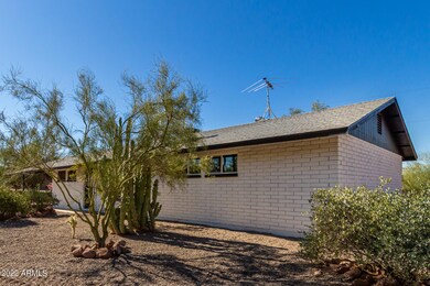 05 Camino Saguaro