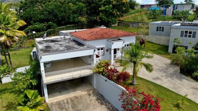 San Lorenzo Bo Quemados, San Lorenzo, PR 00754 - photo 2