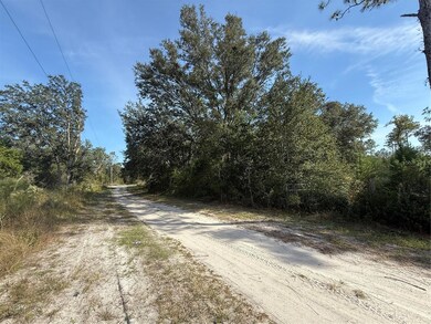 TBD SW 157th Ln, Dunnellon, FL 34432 - photo 2
