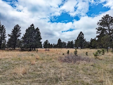 Lot 2 Argyle Ridge Ct, Hot Springs, SD 57747 - photo 7