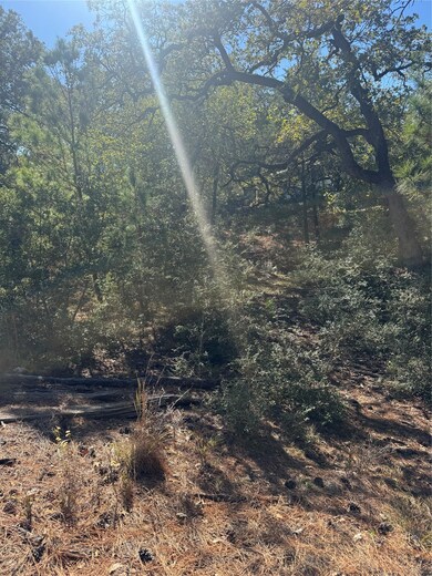 Lot 97 Kaelepulu Dr, Bastrop, TX 78602 - photo 7