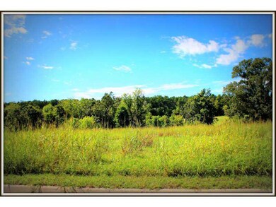 20988 Double Tree Crossing, Springdale, AR 72762 - photo 5