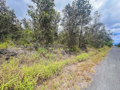 92-9130 Tree Fern Ln, Ocean View, HI 96737 - photo 2
