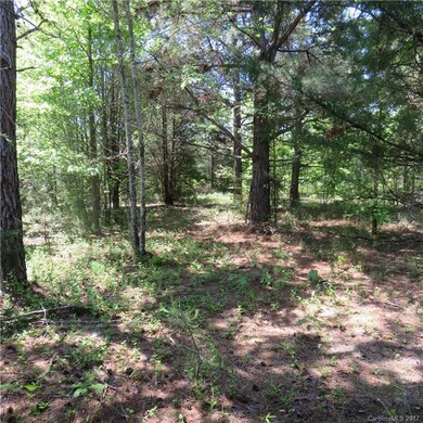 Lot 3 Ole Cambridge Rd unit 3, Clover, SC 29710 - photo 7