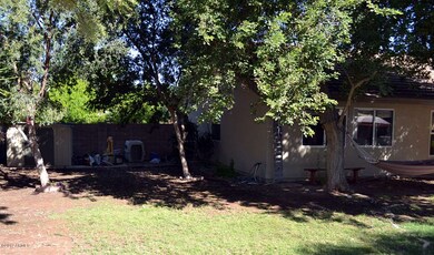 BACKYARD 01