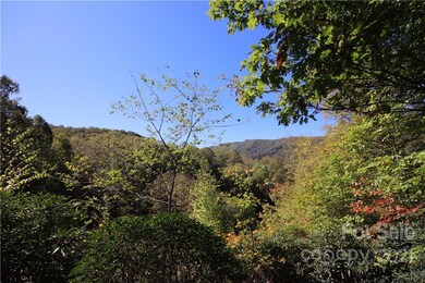 351 Shook Rd unit 5-A, Banner Elk, NC 28604 - photo 6