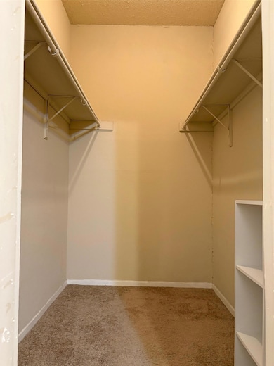 Walk in closet with carpet flooring