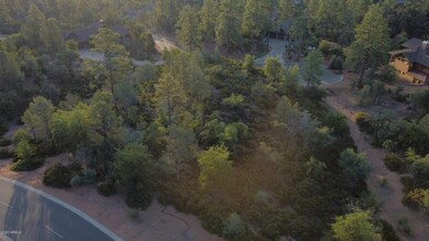 DJI_0307