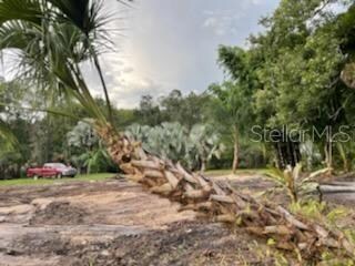 6015 Eureka Springs Rd, Tampa, FL 33610 - photo 6