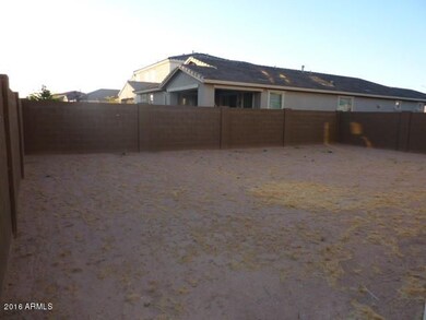 023-586947 Back yard