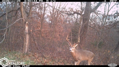 0 183rd Ave, Cincinnati, IA 52549 - photo 3