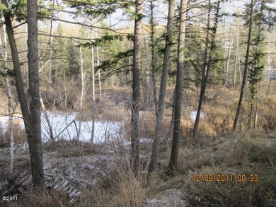 1445 Woodland Ave, Kalispell, MT 59901 - photo 4