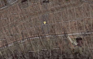 Holiday Ln, Smithville, TN 37166 - photo 2