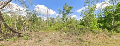 3007 Cacao Rd, Lake Placid, FL 33852 - photo 4