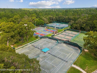 17 Lone Pine St, Homosassa, FL 34446 - photo 2