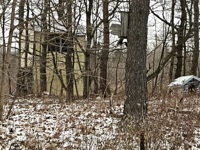 IMG_0346
