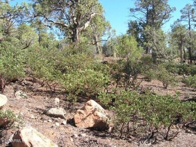 Sierra Pines (2)
